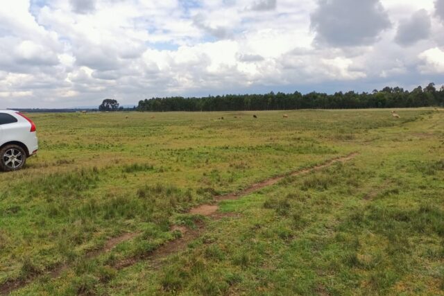 Land for Sale in Nyahururu