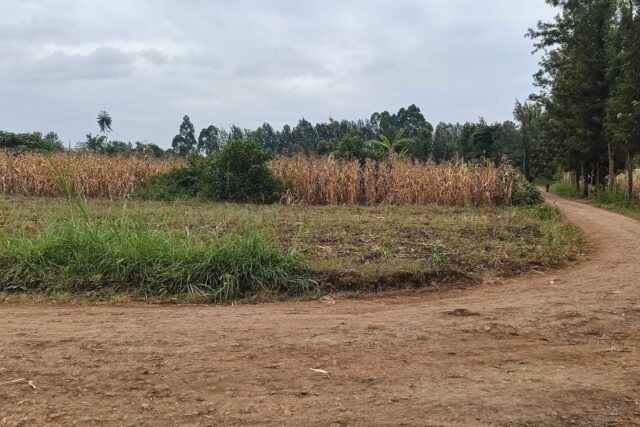 Prime Land for Sale in Kirinyaga